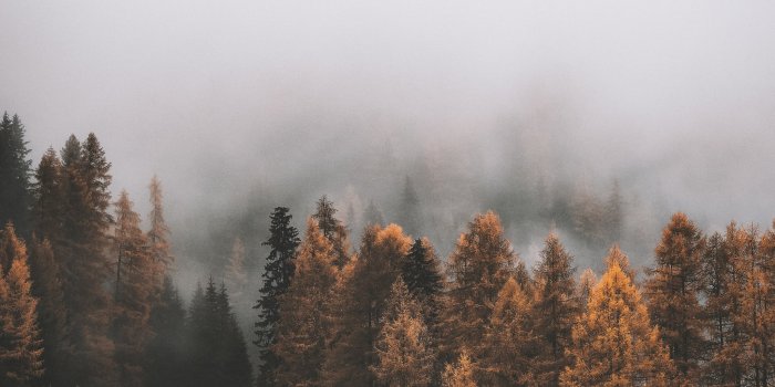 2048x3089 20 Cozy Fall Wallpapers For Your Iphone - Iphone Wallpaper Uk - 2048x3089 -  Download HD Wallpaper - WallpaperTip