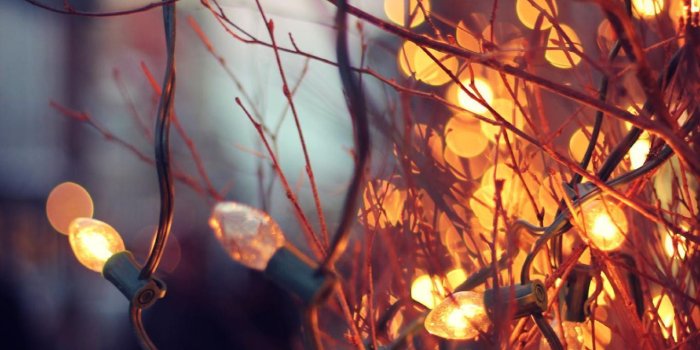 1280x1920 ᵂᴬᴸᴸᴾᴬᴾᴱᴿˢ | Fall wallpaper, Autumn cozy, Christmas wallpaper