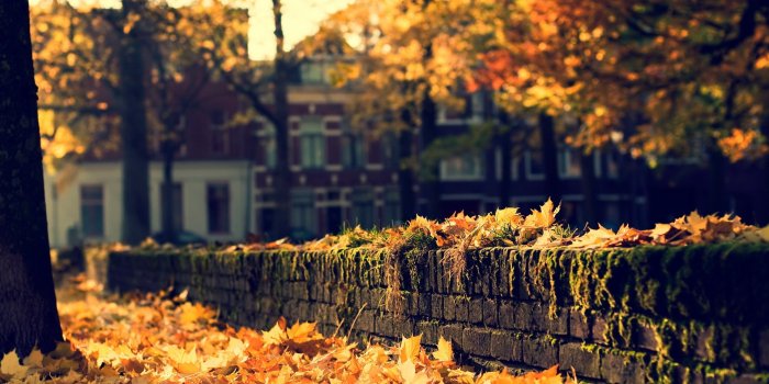 1920x1080 Cozy Fall Desktop Background - 1920x1080 - Download HD Wallpaper -  WallpaperTip