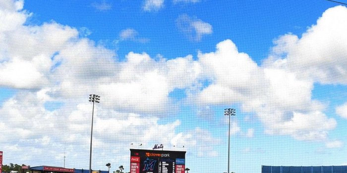 946x2048 Mets Virtual Wallpapers | New York Mets