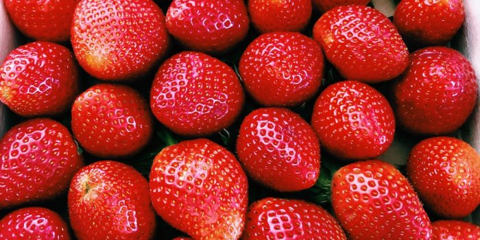 1000x1333 100+ Strawberry Pictures | Download Free Images on Unsplash
