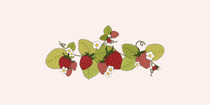1900x1200 Strawberry patch desktop and iPad wallpaper – Make and Tell