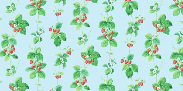 1000x1000 Summer Strawberries by Sanderson - Strawberry / Sky - Wallpaper : Wallpaper  Direct