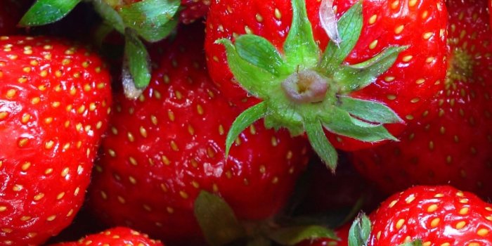 1440x2560 Hd Strawberry Wallpapers 4k - 1440x2560 Wallpaper - teahub.io