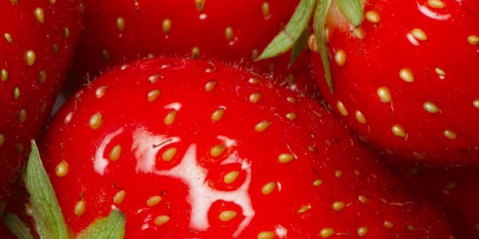 1080x1920 Strawberry Wallpaper For iPhone 6 Plus - HD Wallpaper iPhone