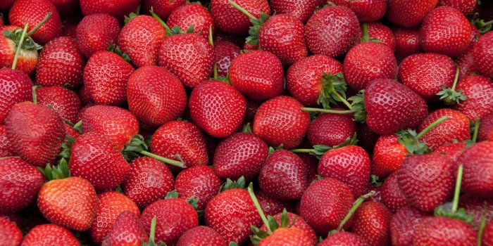 1920x1080 Strawberry Wallpaper Macbook - Strawberry Wallpaper Macbook : WallsHub