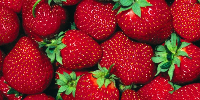 1600x1200 Strawberry Wallpaper and Background Image | 1600x1200