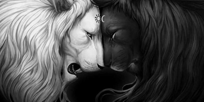 863x1534 HD Leo Wallpaper | WhatsPaper