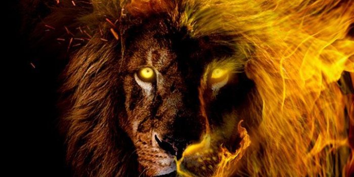 720x1280 Leo Horoscope Wallpapers - Top Free Leo Horoscope Backgrounds -  WallpaperAccess