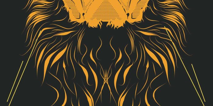 1440x2560 Leo Wallpapers - iXpap