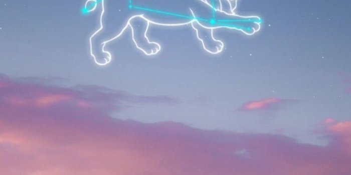 736x1308 leo #wallpapers #sky | Zodiac leo art, Zodiac art, Mood wallpaper