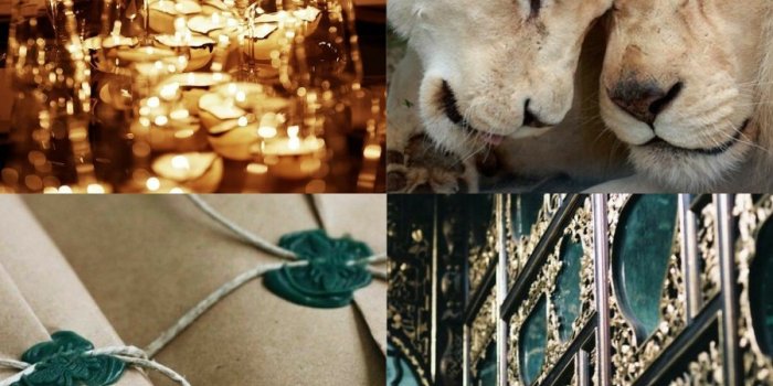 899x1600 Aesthetic Wallpapers — Slytherin Leo Aesthetic ♌ @avadakedavrame7...