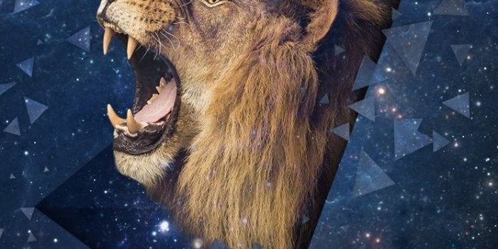 744x1216 Leo Wallpaper - Wallpaper Sun