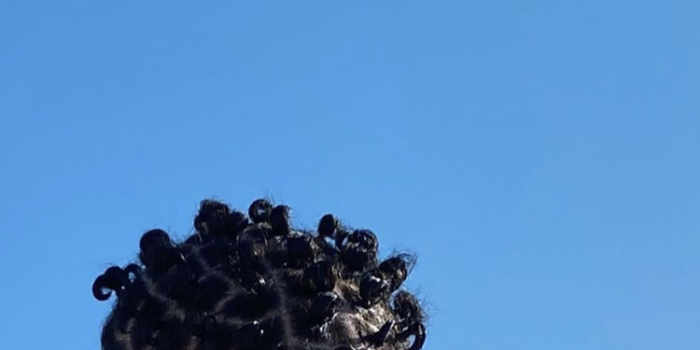 750x1334 Bad Bunny wallpaper | Bunny wallpaper, Bunny poster, Bunny painting