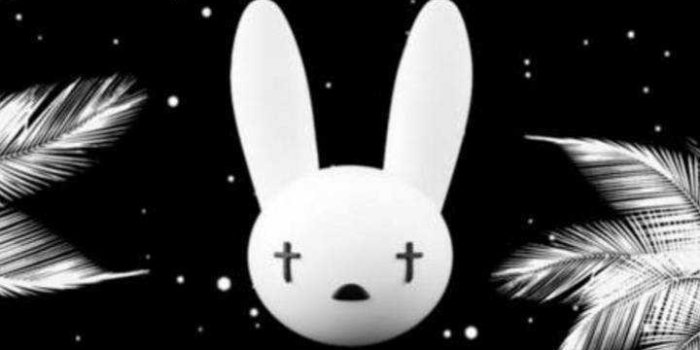 720x1280 Bad Bunny Wallpaper | WhatsPaper