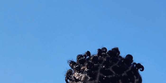 750x1334 Bad Bunny iPhone Wallpaper - NawPic