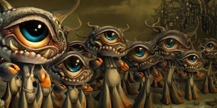 1024x768 Weird Wallpaper - NawPic