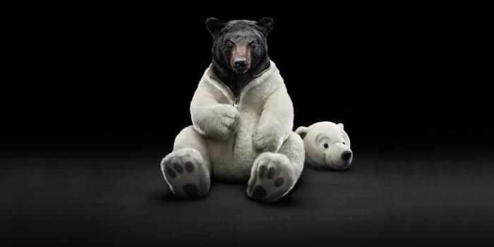 1920x1200 Weird Hd Wallpapers Backgrounds Wallpaper - Weird Wallpapers Hd - 1920x1200  - Download HD Wallpaper - WallpaperTip