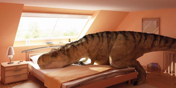 2560x1920 63+ Weird Desktop