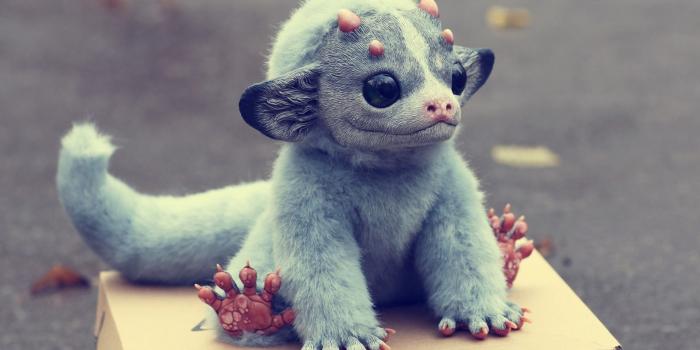 1920x1200 Weird Desktop Backgrounds - PixelsTalk.Net