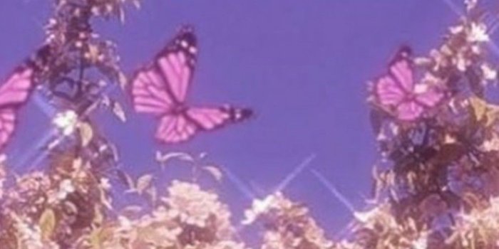 1009x1794 y2k butterfly wallpaper | Y2k aesthetic wallpaper, Aesthetic wallpapers,  Butterfly wallpaper