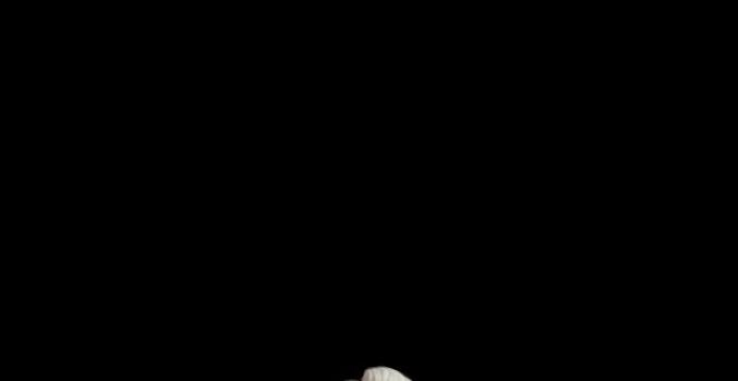 677x1202 Draco Malfoy Wallpaper - KoLPaPer - Awesome Free HD Wallpapers