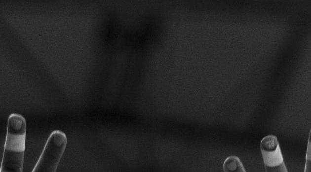 630x1280 Volleyball wallpaper by erfe - Download on ZEDGE™ | 820f