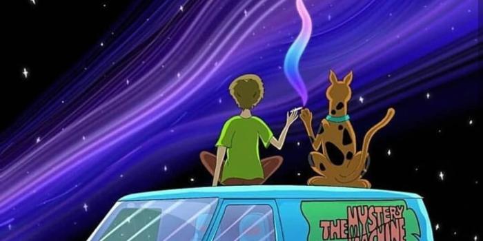 1080x1350 Pin on Weed