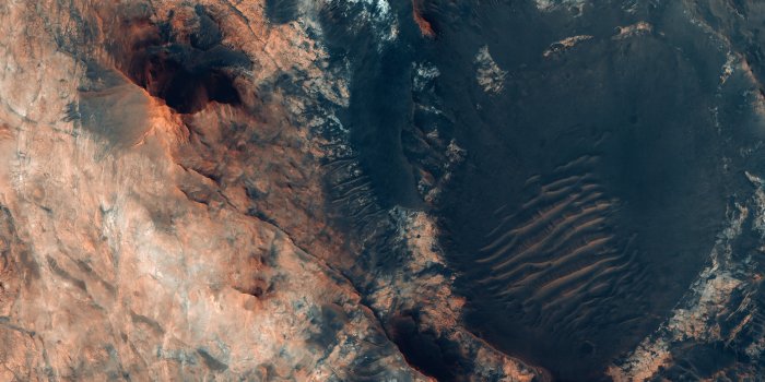 2524x2524 Psiu Puxa Wallpapers