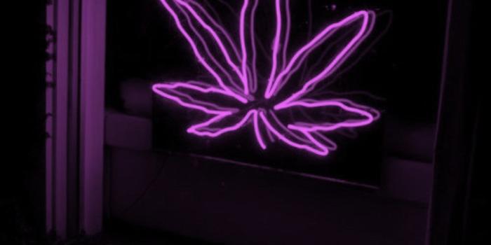 760x1140 Stoner Wallpaper - EnWallpaper