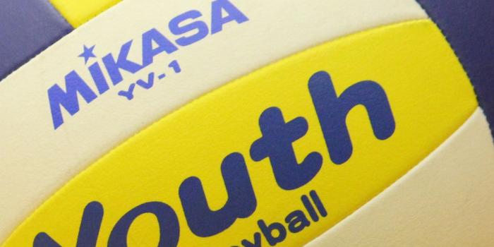 1080x1920 Download wallpaper 1080x1920 volleyball balls, volleyball, sports samsung  galaxy s4, s5, note, sony xperia z, z1, z2, z3, htc one, lenovo vibe hd  background