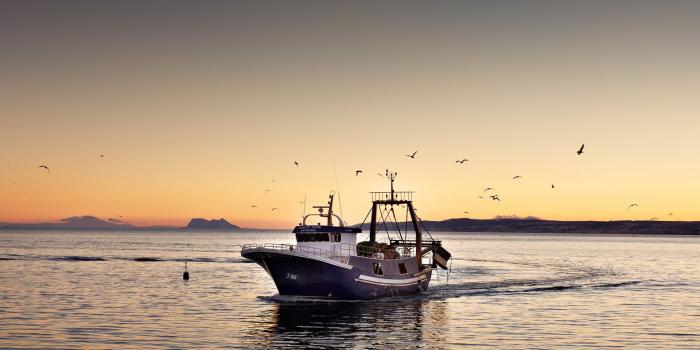 1920x1080 Fishing Boat Wallpapers - Top Free Fishing Boat Backgrounds -  WallpaperAccess