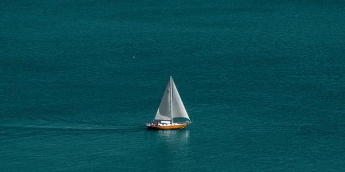 750x1334 white and brown boat in body of water iPhone 8 Wallpapers Free Download