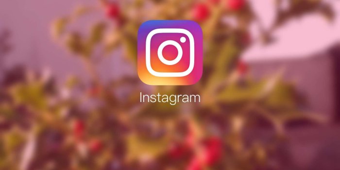 1920x1080 Instagram HD Wallpapers - 4k, HD Instagram Backgrounds on WallpaperBat