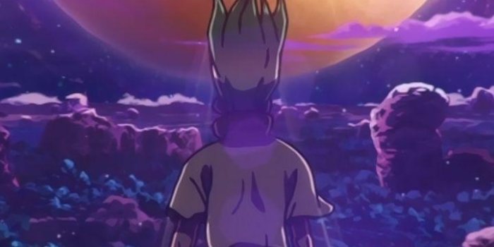 720x1440 Dr Stone Phone Wallpapers