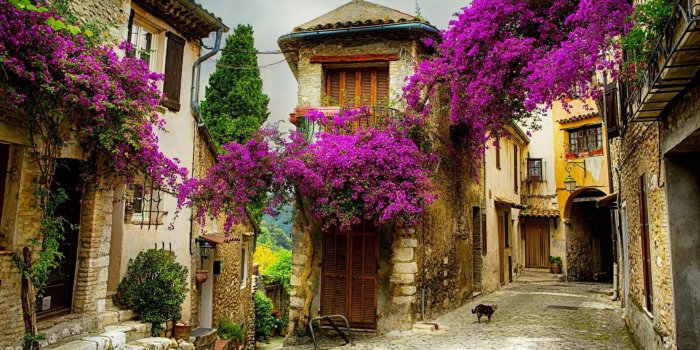 1920x1080 France cute streets. Wallpaper for Android - APK Download