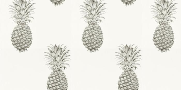 1000x1000 Pineapple Royale by Sanderson - Silver / Ivory - Wallpaper : Wallpaper  Direct