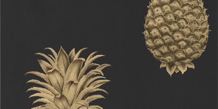1366x1366 Pineapple Royale Graphite/Gold Wallpaper | Sanderson by Sanderson Design