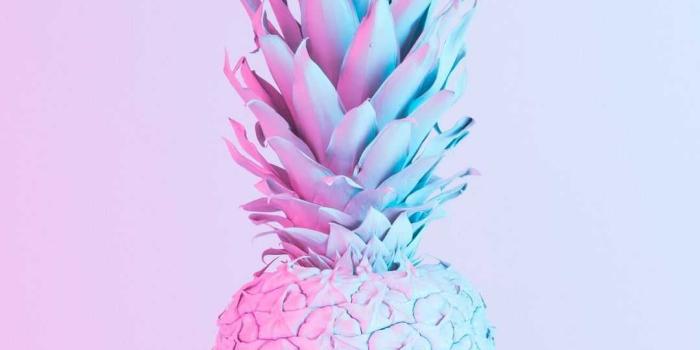 1080x1920 Pineapple Wallpaper - NawPic