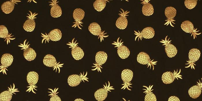 1920x1080 pineapple wallpaper 48 - 1920x1080 pixel - WallpaperPass