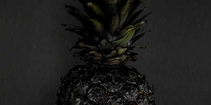 1000x1500 green and gray pineapple fruit photo – Free Black Image on Unsplash