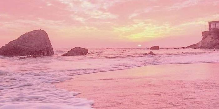 736x1104 Light Pink Baby Pink Aesthetic Wall Collage Kit Digital Copy | Etsy | Pink  wallpaper backgrounds, Wallpaper iphone summer, Beach wallpaper iphone