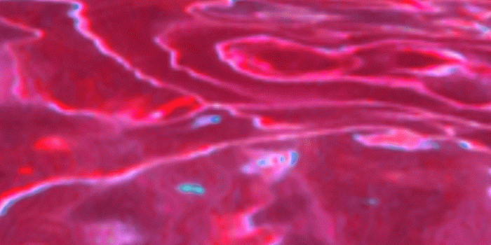 996x1769 HD Hot Pink Aesthetic Wallpaper | WhatsPaper