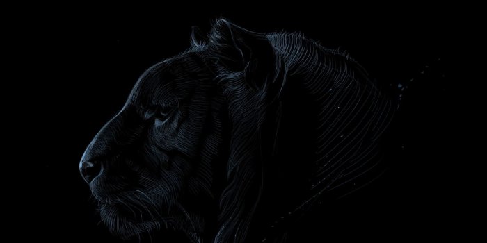 1920x1080 Black Profile Wallpapers