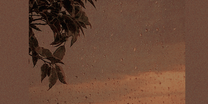 750x1334 Brown Aesthetic Wallpaper - EnJpg