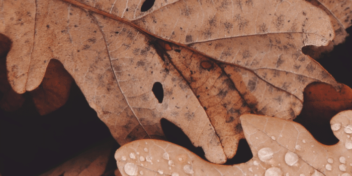 1080x1920 Free download Soft Brown Aesthetic Desktop Wallpaper Page 1 Line17QQcom  [1080x2337] for your Desktop, Mobile & Tablet | Explore 32+ Brown  Backgrounds | Wallpaper Brown, Brown Wallpapers, Brown Wallpaper