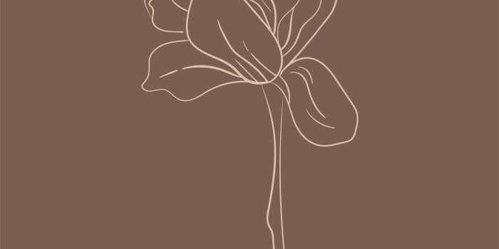 4501x8001 Boho Botanical Instagram Highlights - Instagram Highlight Covers -  Hand-Drawn Icons | Minimalist wallpaper, Vintage flowers wallpaper, Phone  wallpaper patterns