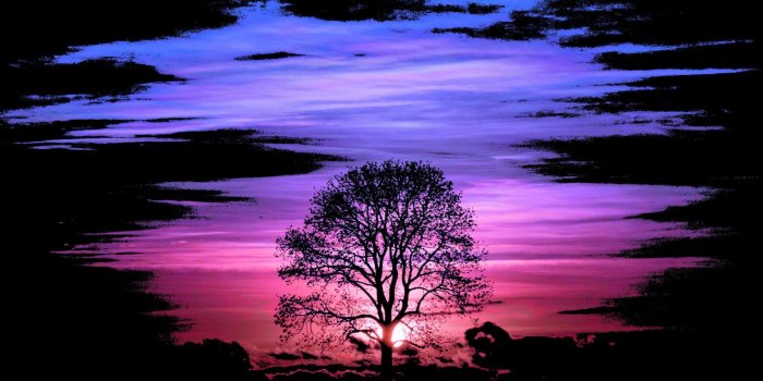 1707x2560 Secret Bisexual Wallpapers posted by John Tremblay