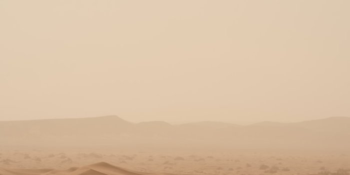 1000x1500 1500+ Brown Aesthetic Pictures | Download Free Images on Unsplash