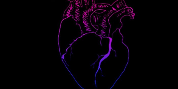 1080x1920 The Skull Pile — Bisexual locksreens/wallpapers •like/reblog if you...